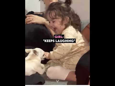 Toddler proves dog friendly #shorts