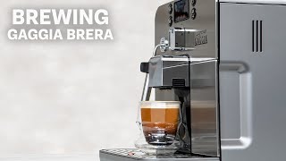 How to Use the Gaggia Brera, Drink Parameters, and Brewing