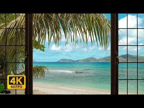 4K Tropical Beach window view in the Caribbean - Palm Trees, Ocean Sounds, White Noise