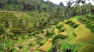 Isla de Bali con In2travel