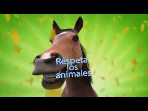 Sonido del caballo relinchando