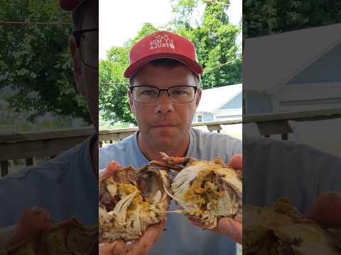 How to Pick a Crab. Look for that Yellow Mustard. #crabbing #crabrecipes #bluecrab