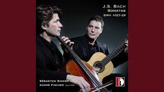Viola da Gamba Sonata in G Minor, BWV 1029 (Arr. A. Fischer for Cello &amp; Guitar) : III. Allegro