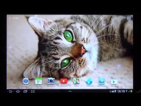 Cat Live Wallpaper APK - Free download app for Android