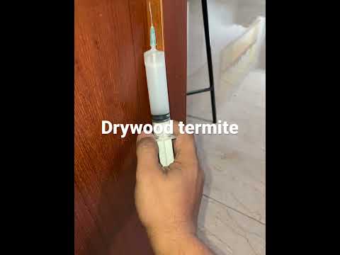 Drywood termite treatment