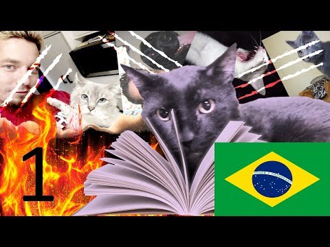 O Diário de Sylvester (Dublado) - Ep1 - Pinguins