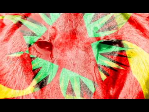 Dub Renaissance Ft. Tom Spirals - By the waterfall x3 mixes