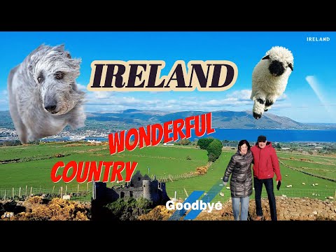 Ireland Почему нет волков и змей Ирландский волкодав О рыбалке Поездка в горы Овцы