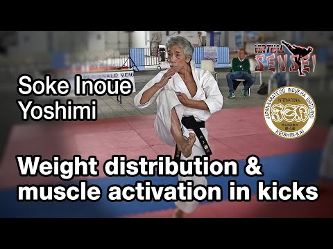 Soke Inoue Yoshimi - Weight distribution and muscle activation in kicks - Seminar Italy 2013