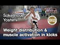 Soke Inoue Yoshimi - Weight distribution and muscle activation in kicks - Seminar Italy 2013