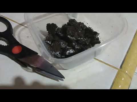 PREPARE DESSERT UNTUK BUBBZIE