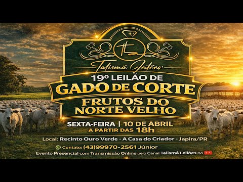 19° Leilão de Gado de Corte - 2026 | Talismã Leilões |Sexta-Feira - 10/04 - 18h | Japira - PR