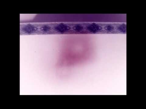 download lagu mp3 mp4 Watain Black Metal Militia, download lagu Watain Black Metal Militia gratis, unduh video klip Watain Black Metal Militia