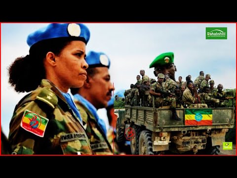 Cidamadii Tigreega Ee Nabad Ialaalinta Sudaan Oo Magangalyo Waydiistay Sudan