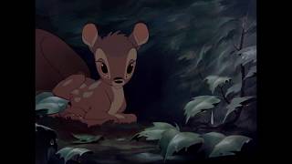 Bambi | Liedje: Drip Drop | Disney NL