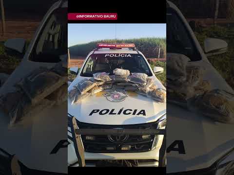 MAIS DE 8 KG DE HAXIXE SÃO APREENDIDOS COM TRAFICANTE EM ÔNIBUS PELO POLICIAMENTO RODOVIÁRIO