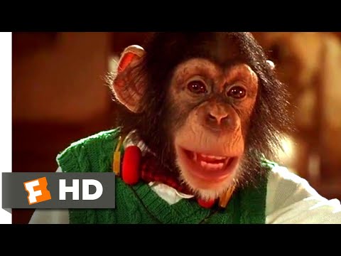 Babe: Pig in the City (1998) - Feeding the Animals Scene (5/10) | Movieclips