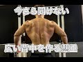 いまさら聞けない懸垂のやり方