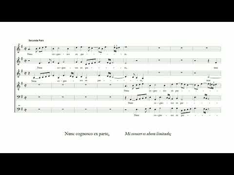 Orlando di Lasso: Cum essem parvulus (Cappella Amsterdam, Daniel Reuss)