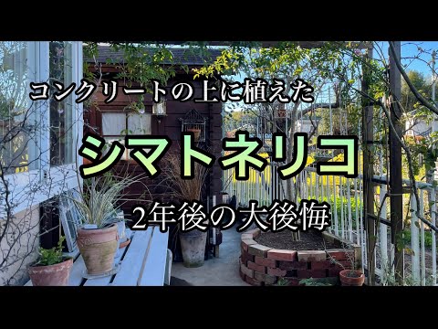 園芸 庭の装飾コンクリート