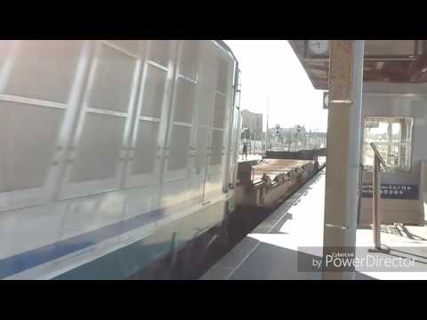 E652 052 (loghi MIR) sul Torino - Fossacesia in transito a Falconara M.ma