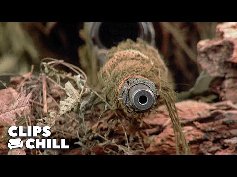 Elite Snipers Enter the Jungle for a Lethal Mission | Sniper (Tom Berenger)