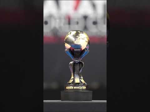 Trophy - Karate