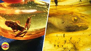 10 สิ่งมีชีวิตยุคก่อนประวัติศาสตร์สุดแปลกที่ถูกพบในอำพัน