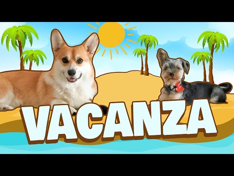 POPOFF & GOGGO go on HOLIDAY