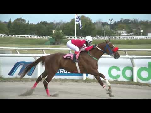 220604 c05 - MURGUERO ORIENTAL - HIPODROMO LAS PIEDRAS