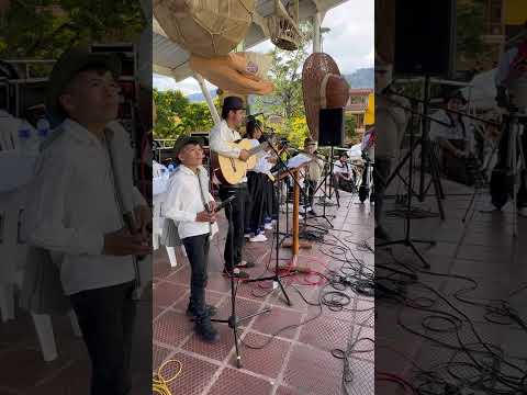 Semillero de música campesina de #Tibirita en #Cundinamarca.