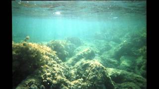 Thrupence - White Kite