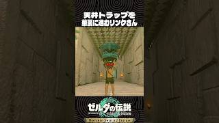 天井トラップを華麗に進むリンクさん【ゼルダの伝説 ティアキン】
