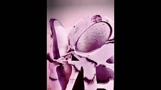 Breakin It   1st one Mindy McCready IMG 6313