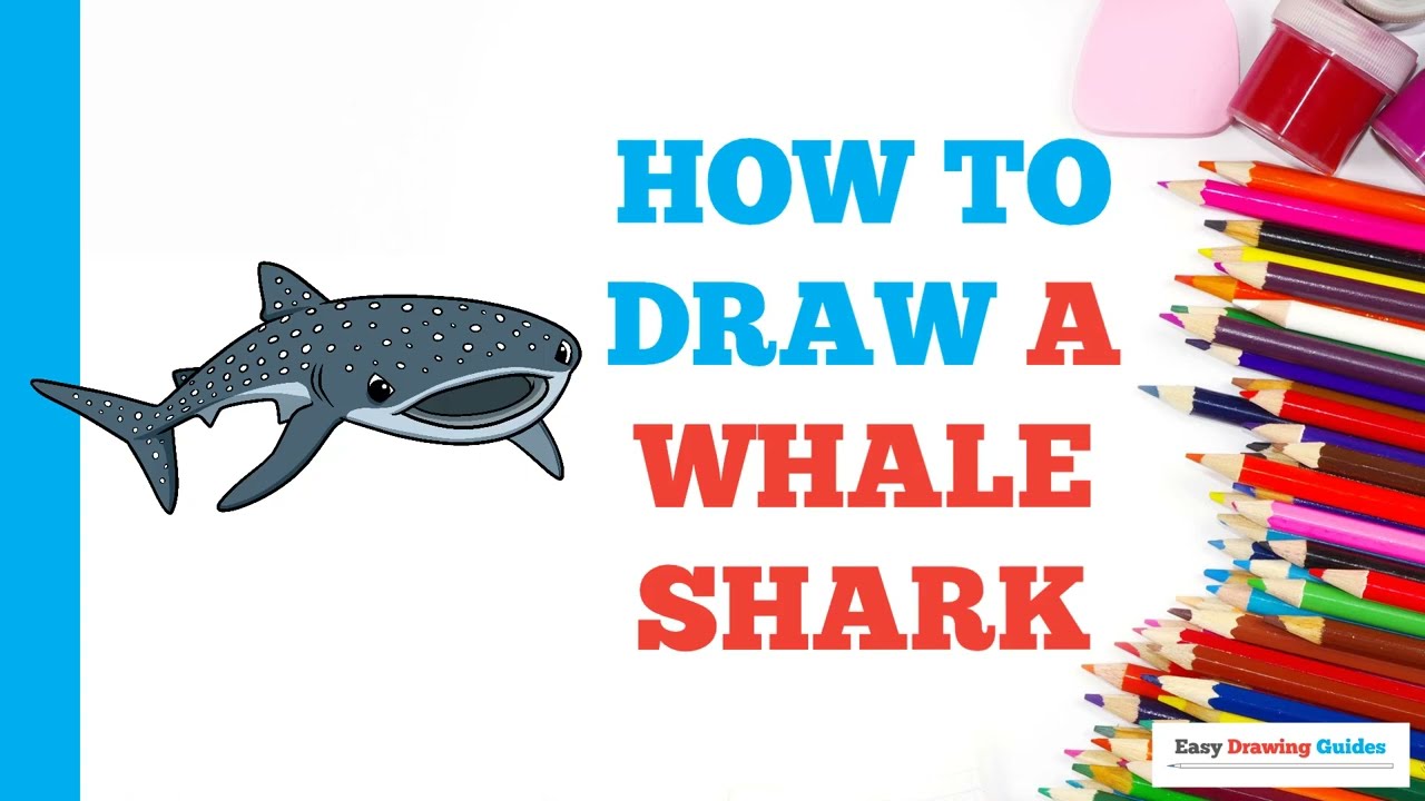 How to Draw a Whale Shark: Easy Step by Step Drawing Tutorial for Beginners