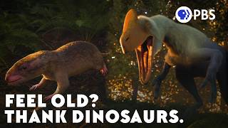 Download lagu How Dinosaurs May Have Cursed Us With Aging mp3