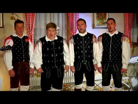 Ansambel Jožeta Škoberneta in Kvartet Jarica-Harmonike nežen glas