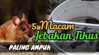 Download lagu Cara Membuat Perangkap Tikus SANGAT AMPUH  (how to make a mousetrap) mp3