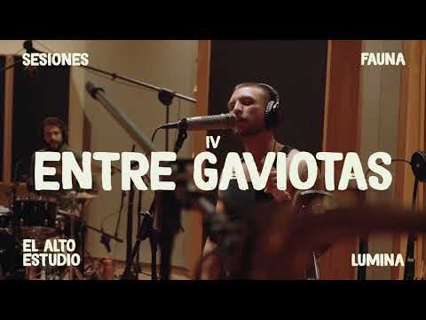 Entre Gaviotas - Nasa Histoires