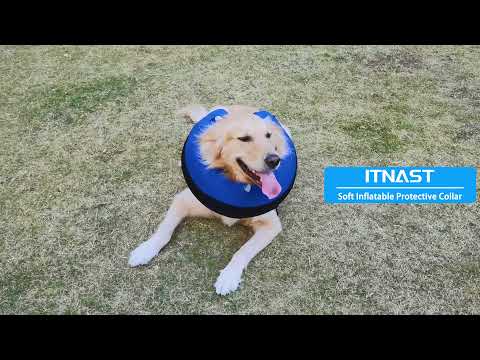 Inflatable dog cone collar for dog after surgery, dog donut collar e-collar e-cone