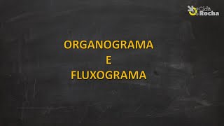 Organograma e Fluxograma