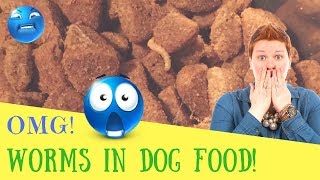 OMG! Worms in Dog Food!