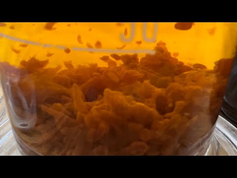 Precipitation of Ferric Hydroxide in RamZland!⚗️ FeCl3 + 3NaOH → Fe(OH)3 + 3NaCl #STEM #Science