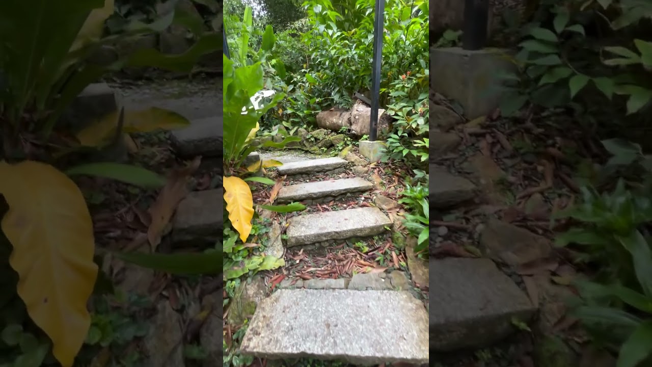 YouTube Short thumbnail