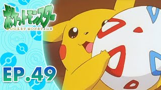 Pokémon the Series: The Beginning | EP. 49 | Milik Siapakah Togepi?! | Pokémon Indonesia