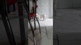 Download lagu Esther(95) mp3 Download lagu Esther(95) mp3