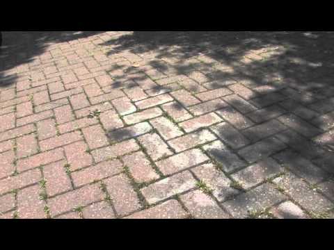Roundup on Paths and Drives | Videos | Roundup Weedkiller
