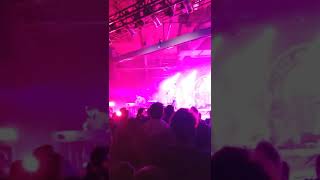 Freakazoid Silversun Pickups Sept. 2021
