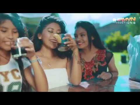 LOS DELFINES DEL AMOR FT LUZ DANNY ( AMOR Y PASIÓN )