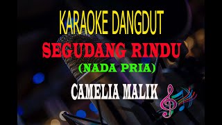 Download lagu Karaoke Segudang Rindu Nada Pria - Camelia Malik (Karaoke Dangdut Tanpa Vocal) mp3 Download lagu Karaoke Segudang Rindu Nada Pria - Camelia Malik (Karaoke Dangdut Tanpa Vocal) mp3